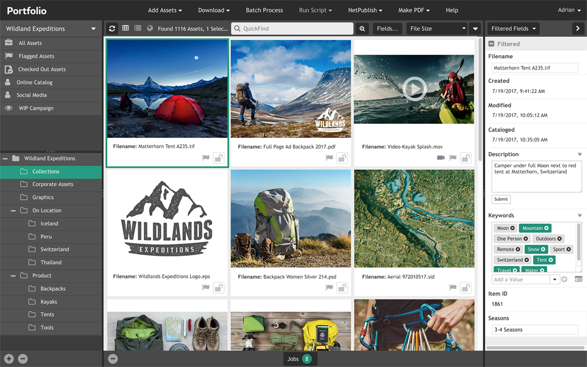 Extensis Portfolio financial risk management software