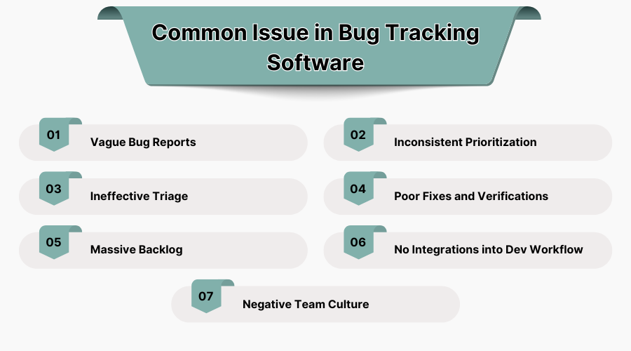 Common Issue in Bug Tracking Software