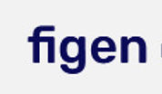 Figen