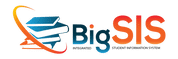 BigSIS