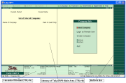 Tally ERP 9 Screenshot 2