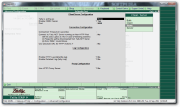 Tally ERP 9 Screenshot 3