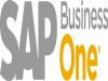 SAP Business One 