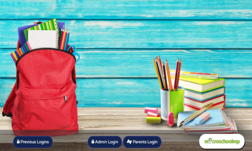 microschoolerp Screenshot 1