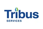 Tribus