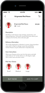 Elluminati - Flower Delivery App Screenshot 2