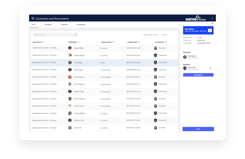 SameSystem Screenshot 2