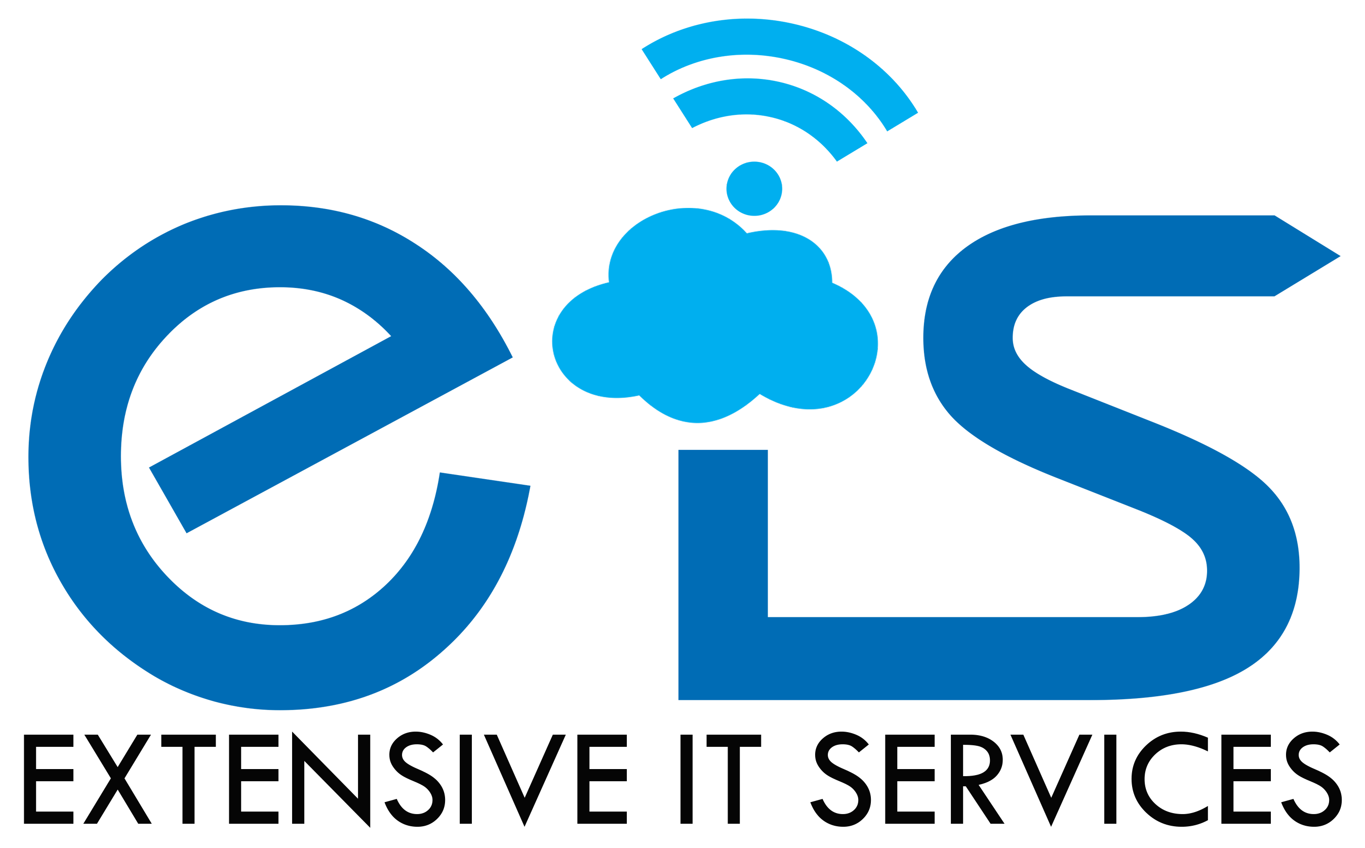 Extensive Books Accounting Software