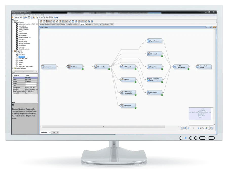 SAS Enterprise Miner Screenshot 1