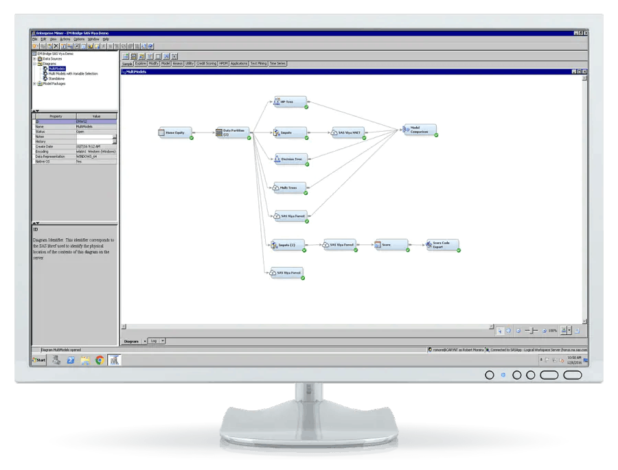 SAS Enterprise Miner Screenshot 5