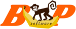 Software Business Plan