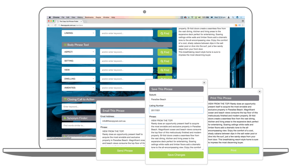 Copy Cat Phrase Finder Screenshot 5