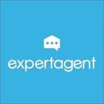 Expert Agent