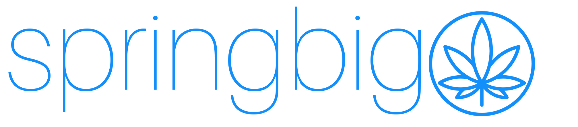 springbig