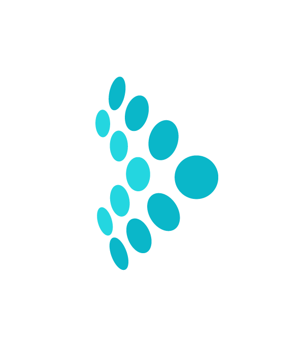 Tealium Customer Data Hub