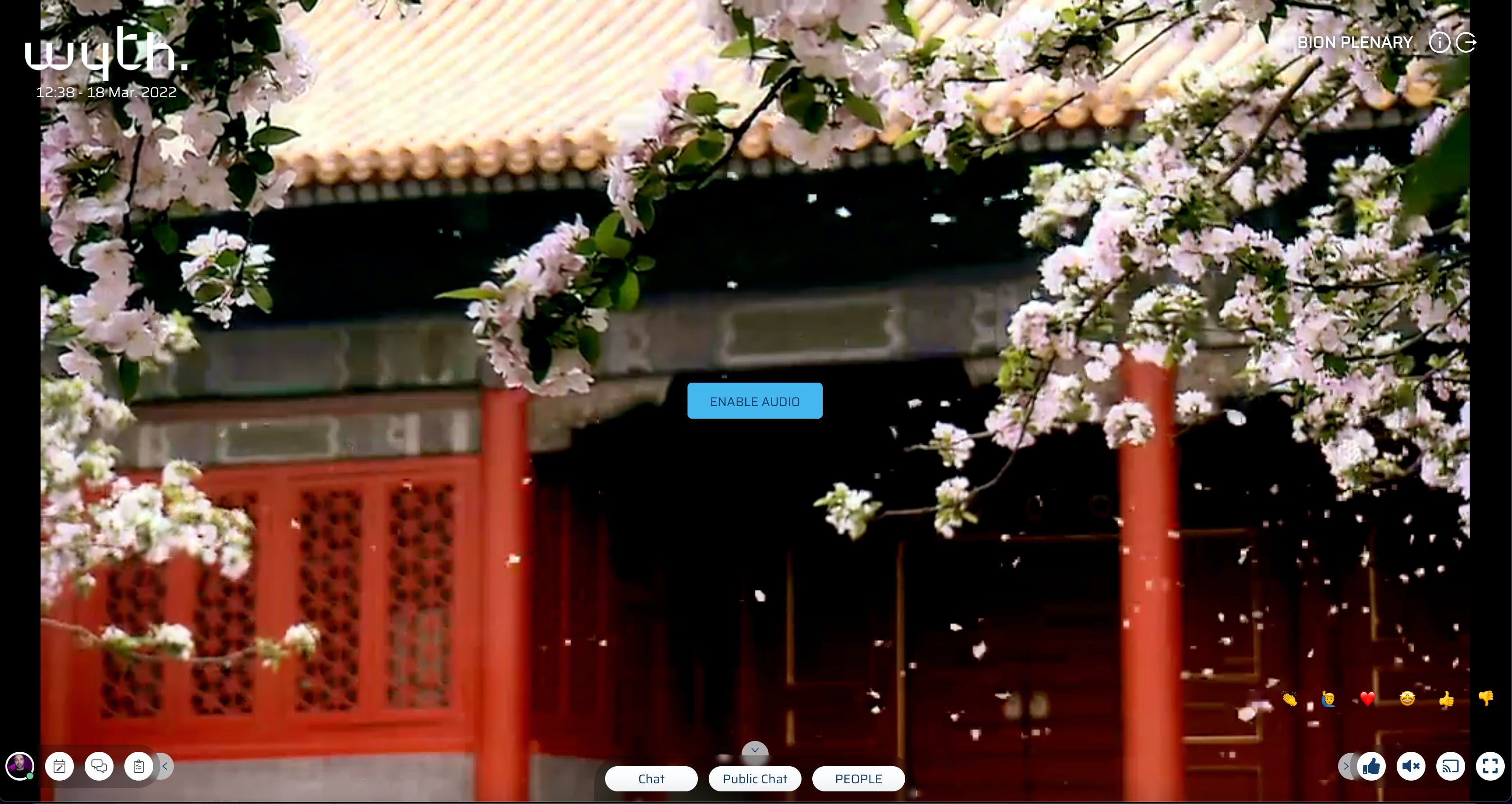 Wyth Screenshot 5
