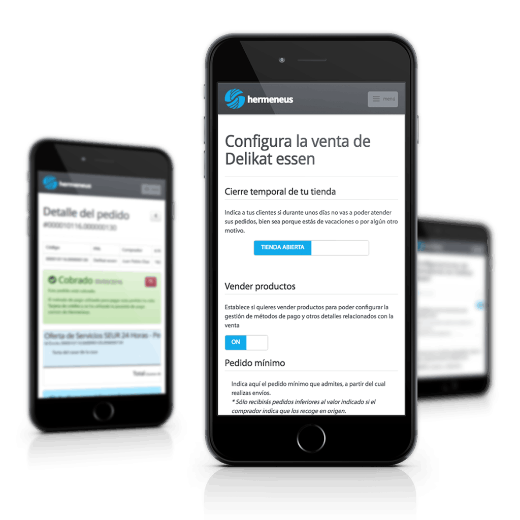 Hermeneus Web Developer Tool Screenshot 4