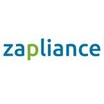 zap Audit 