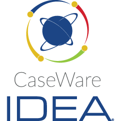 CaseWare IDEA