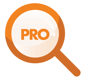 Network Detective Pro