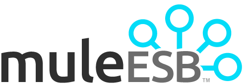 Mule ESB