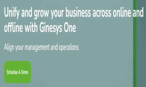 Ginesys One- The Omniretail Suite Screenshot 4