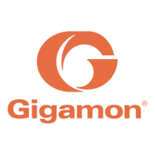 gigamon