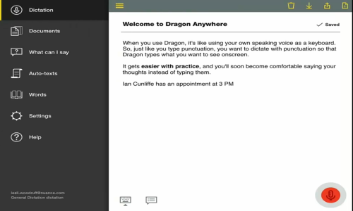 Dragon Anywhere Screenshot 2