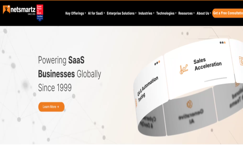 Netsmartz Screenshot 1