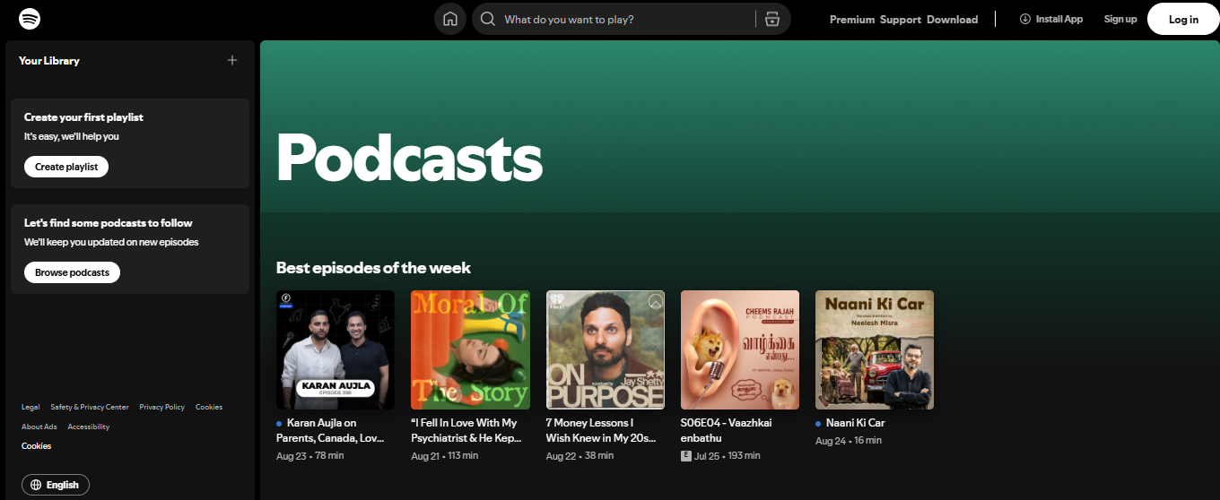 Spotify Screenshot 3