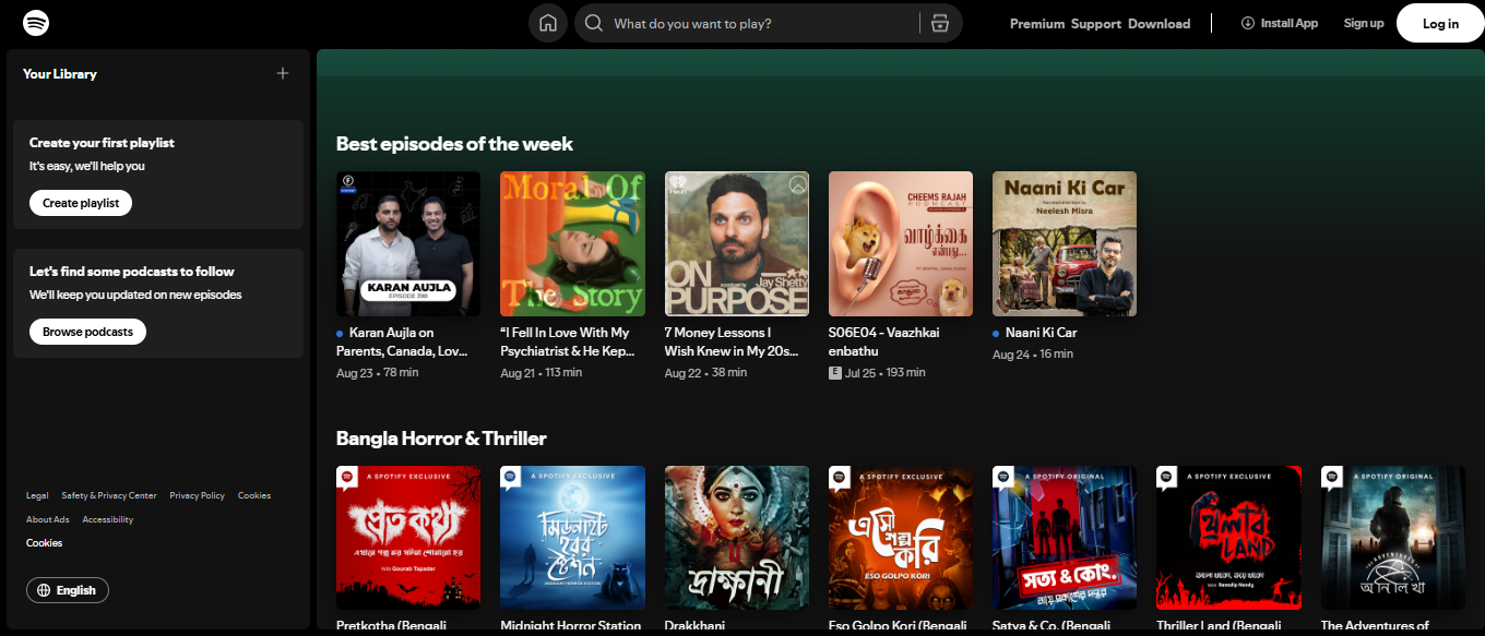 Spotify Screenshot 4