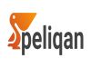 Peliqan