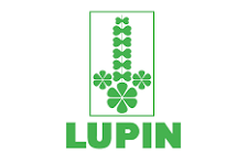 Lupin